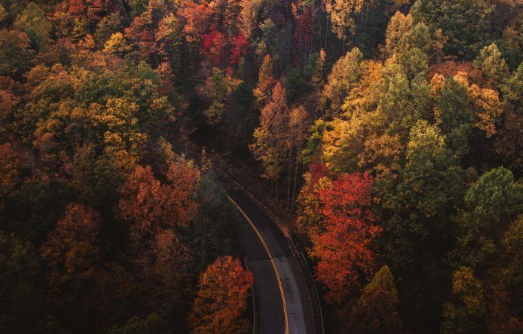 Birde eye view of a highway curving through a forest in fall.